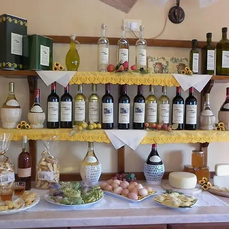 Farm stay Colle Castelfalfi