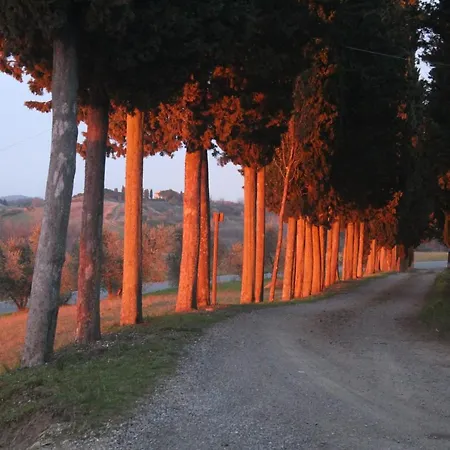 Colle Farm stay Castelfalfi
