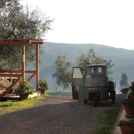 Colle Castelfalfi
