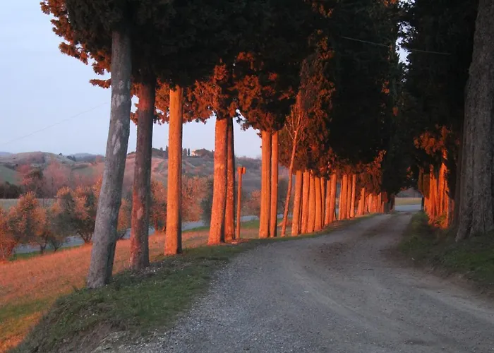 Colle Alojamento de Turismo Rural Castelfalfi